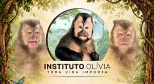 Instituto Olívia: um sonho de acolhimento para animais silvestres
