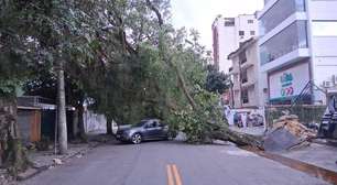 Ventos de 109 km/h atingem Santos; cidades do litoral paulista suspendem aulas devido à ventania