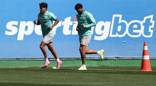 Barboza treina e pode reforçar o Palmeiras contra o Internacional