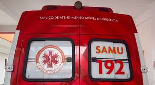 Motorista morre em colisão entre caminhoneta e caminhão na RS-342, em Ijuí