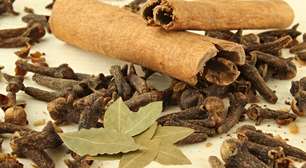 Aprenda a perfumar a casa com folhas de louro, canela e cravo-da-índia