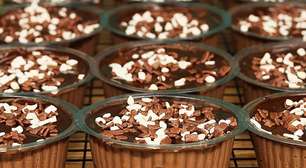 Sobremesa no pote tipo pavê de chocolate fácil, que fica absurdamente deliciosa, um mimo para o Dia dos Pais