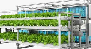 Que soluções de agricultura urbana podem reduzir o impacto climático?