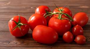Como plantar tomate-cereja em casa: guia prático e dicas