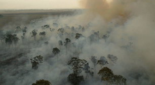 Mitigação e adaptação: duas estratégias distintas porém complementares para lidar com as mudanças climáticas