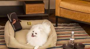 10 hotéis pet friendly no Brasil para aproveitar dias de descanso ao lado do seu cachorro ou gato