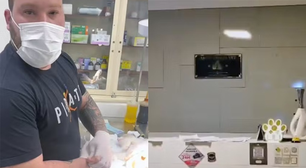 Falso veterinário é preso enquanto fazia cirurgia em gato no RJ