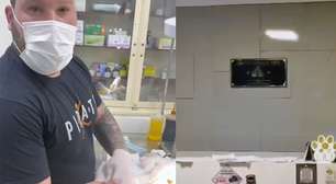 Falso veterinário é preso enquanto fazia cirurgia em gato no RJ