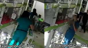 Funcionários de clínica veterinária evacuam animais durante terremoto na Colômbia