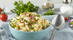 Macarronese prática: receita versátil com macarrão e maionese