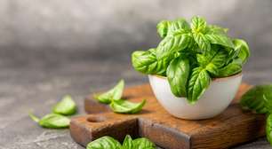 Ritual com ervas para renovar as energias no fim da semana