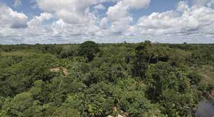 Mapbiomas: menor vegetação nativa expõe mais o país ao El Niño