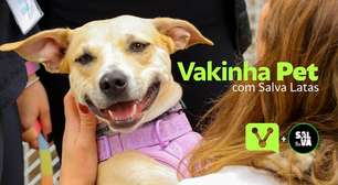 Vakinha Pet 2026 com Salva Latas: Transformando Vidas de Animais Abandonados