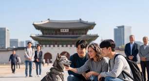 "Os cães são como parte da família agora": Coreia do Sul vai proibir o abate e a venda de carne de cachorro a partir de 2027