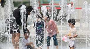 Coreia do Sul vive último verão para consumo de carne de cachorro