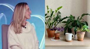 Plantas em casa: como o cuidado com a natureza pode transformar a rotina
