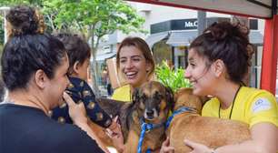 Cadeg promove primeira campanha de adoção de cães e gatos com a ONG Paraíso dos Focinhos