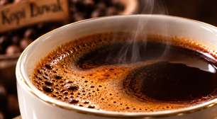 Kopi Luwak: a história e as controvérsias de um dos cafés mais caros do mundo