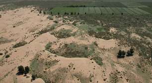 COP da Desertificação na Mongólia: seca pode atingir 75% da população mundial e desafia também o Brasil