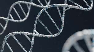 Modelo computacional prevê risco de mortalidade com base em genes
