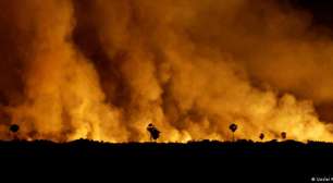 O que diferencia os incêndios florestais do Brasil e da Europa