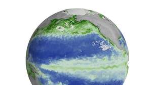Imagens da Nasa mostram impacto do El Niño sobre a vida marinha no Pacífico