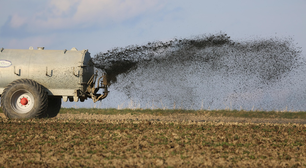 Fertilizante caro aumenta valor da previsibilidade no agro