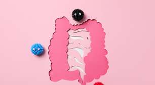 Como a eliminação do açúcar pode alterar o microbioma intestinal?
