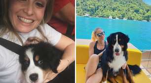 Angélica se emociona com a morte de cachorro da família: 'Nosso grandão vai fazer muita falta'