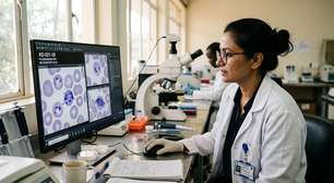 Malária: cientistas buscam vacina de maior eficácia e fazem testes em camundongos