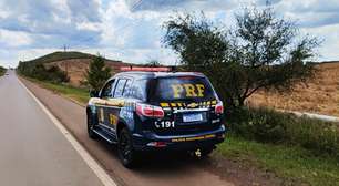 Carro atinge boi na ERS-155 e equipe de socorro é alvo de tiros próximo ao local do acidente