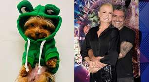 Junno Andrade lamenta morte de cachorro que tinha com Xuxa: 'Meu grude!'