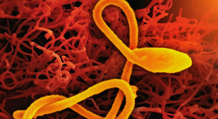 A epidemia de Ebola mais rápida da história avança tão agressivamente que nem a ciência consegue ter tempo de detê-la