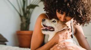 Seu cachorro entende suas expressões? Estudo revela como cães percebem emoções
