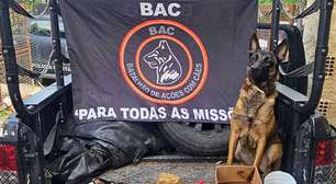 Nesta quarta, região Sul Fluminense ganha unidade do Batalhão de Ações com Cães mais moderna do Brasil