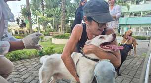 Assaí Tijuca promove vacinação antirrábica gratuita para cães e gatos