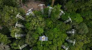 Com torres e anéis metálicos gigantes, experimento tenta descobrir como a Amazônia vai reagir ao aumento de CO