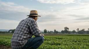 Produtor rural tem direito à prorrogação de dívida