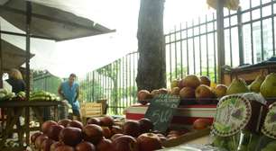 Impacto do super El Niño: fenômeno deve pressionar inflação e deixar os alimentos mais caros