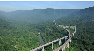 Rodovia brasileira ganha fama mundial ao cortar a Mata Atlântica com viadutos de até 70 metros: 20 km de curvas suaves reduzem riscos sob neblina