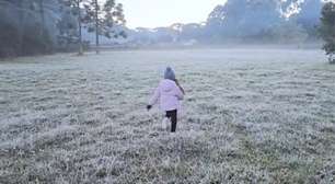 Frio intenso mantém risco de geada no RS antes da volta da chuva