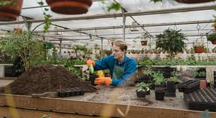 Muito além da força bruta: como a jardinagem está redefinindo a masculinidade