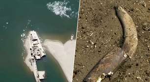 Bombas, navios da Segunda Guerra e até ossos de mamute: Rio Danúbio seca a níveis recordes e revela tesouros antes escondidos