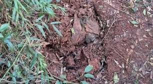 Ossada humana é localizada às margens da BR-153 em Erechim