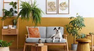 6 truques para fazer uma casa antiga parecer mais moderna