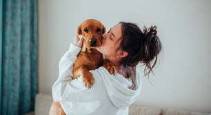 Psicóloga dá dicas para criar um vínculo saudável com o pet