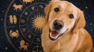 Dia do Cão: o que o signo do seu cachorro diz sobre ele