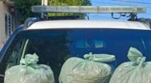 PRF encontra 10,3 kg de 'supermaconha' em porta-malas na BR-232 em Pernambuco; motorista é detido