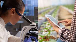 Candidatos a presidente apresentam propostas limitadas em tecnologia, dizem especialistas