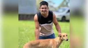 Trabalhador morre após ataque de enxame de abelhas e queda durante pintura de galpão em Tupanciretã